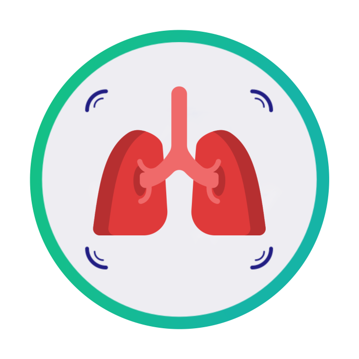 Фитология и фитотерапия болезней органов дыхания